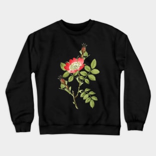 Wild Rose Flower Botanical Illustration Crewneck Sweatshirt